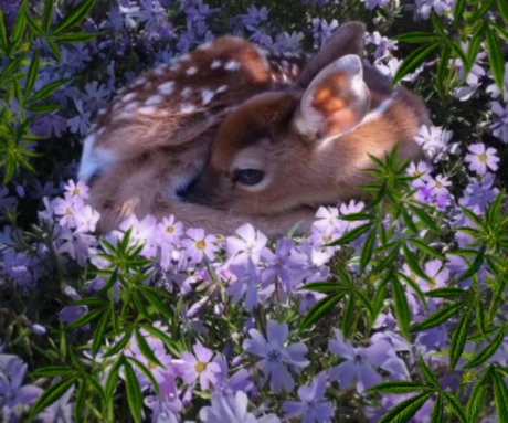 Nahá fotka uniklých OnlyFans od Bambi Chiefs