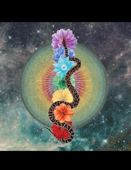 OnlyFans-model Phoenixrhysing