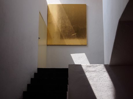 Foto di nudo di fuga di OnlyFans di Savagepapillon