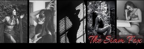 OnlyFans-model The Siam Fox