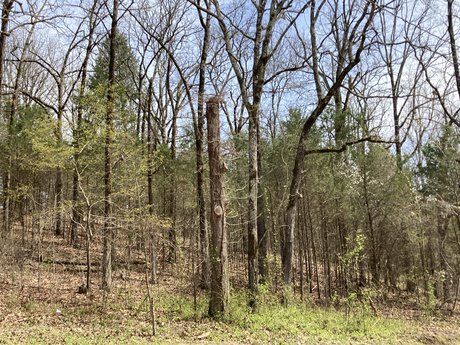 Обнаженная фотография утечки OnlyFans от Top Of The Ozarks