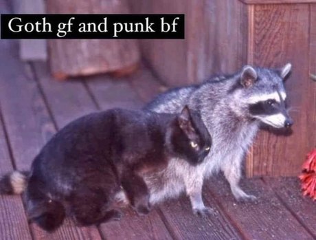 Nahá fotka uniklých OnlyFans od Tommy And Aynnnje Ftw