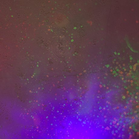 Nahá fotka uniklých OnlyFans od 