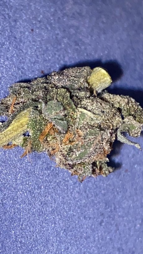 Foto desnuda filtrada de OnlyFans de Memento Mori