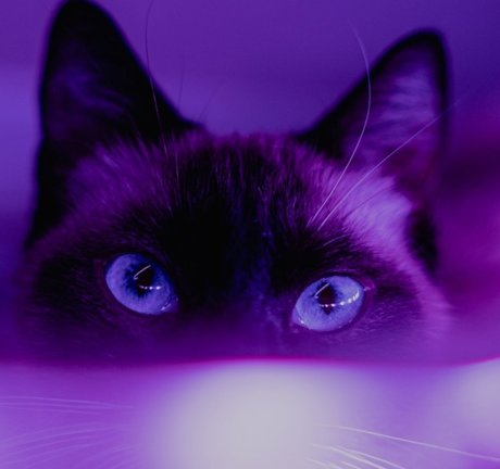 Mzstevie naked leaks OnlyFans pic