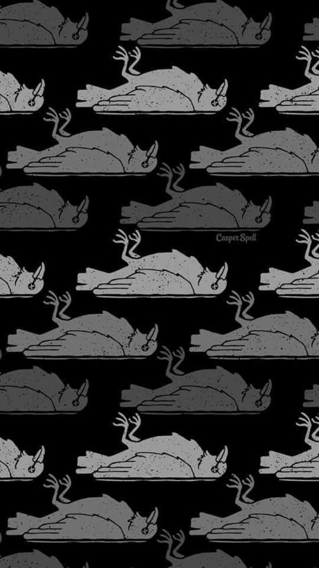 Foto di nudo di fuga di OnlyFans di Liz