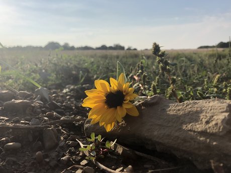 Naken lekkede OnlyFans-bilde av Summer Lyons