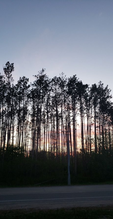 Photo nue de fuite OnlyFans de Alli Rose