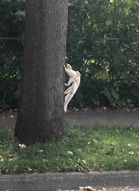 Naomistarr OnlyFans泄露裸照