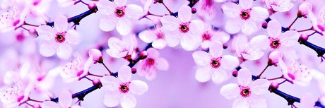 Naken lekkede OnlyFans-bilde av Eevee