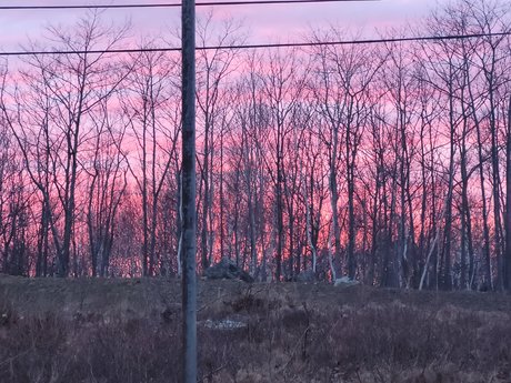 Naken lekkede OnlyFans-bilde av Pockykitty