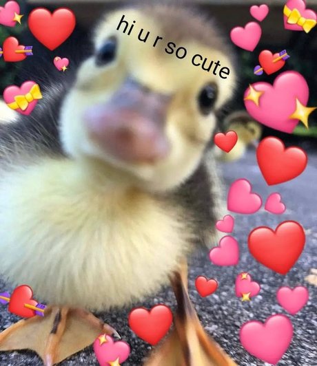 Nahá fotka uniklých OnlyFans od Jamie