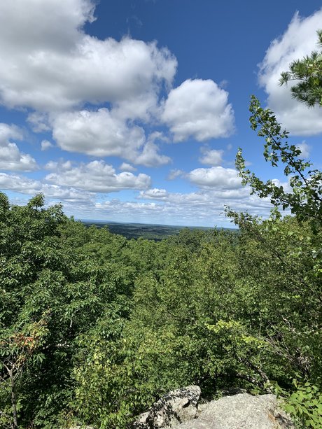 OnlyFans-model Bones 