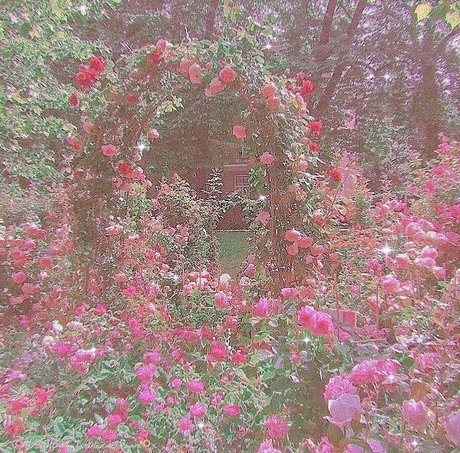 Goddess Miki OnlyFansリークヌード写真