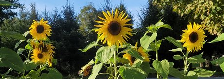 Nahá fotka uniklých OnlyFans od River Gray