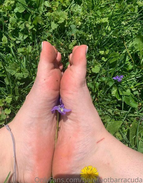 Barefootbarracuda naked leaks OnlyFans pic