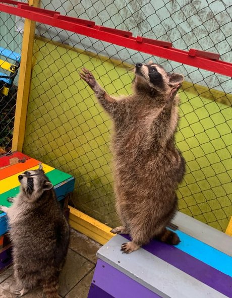 Naken lekkede OnlyFans-bilde av Skyrror