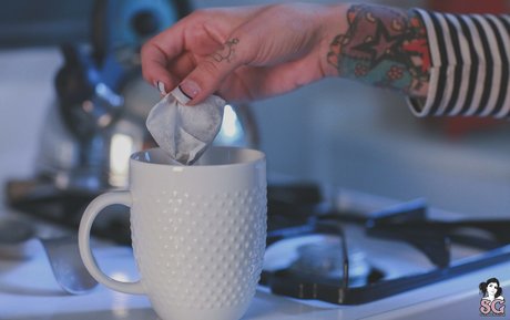 OnlyFans-model Stardust