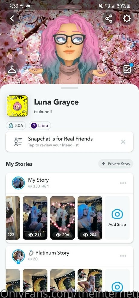 Foto di nudo di fuga di OnlyFans di Theinternetpet