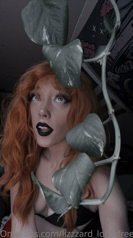 OnlyFans-model Lizgizzardfree