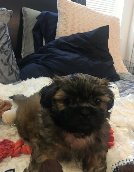 OnlyFans-model Sablevanell