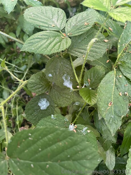 Nahá fotka uniklých OnlyFans od Joe061233321