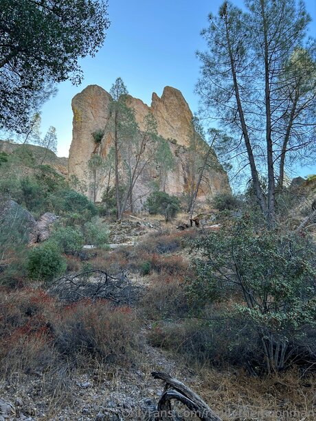 Alasti lekkinud OnlyFans-i pilt Thatmoonman