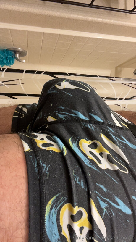 OnlyFans-model Seacookie