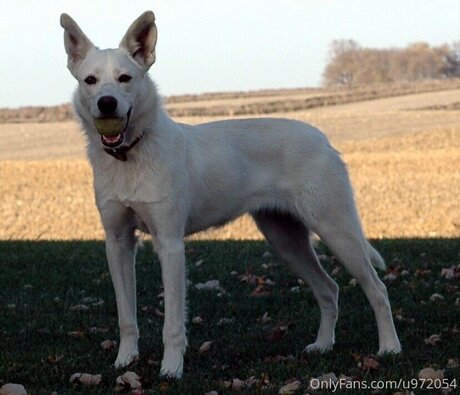 Nacktes geleaktes OnlyFans-Foto von Loneranger2017