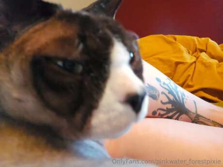 Alasti lekkinud OnlyFans-i pilt Pinkwater Forestpixie
