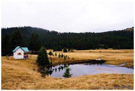 Naken lekkede OnlyFans-bilde av Mickey93