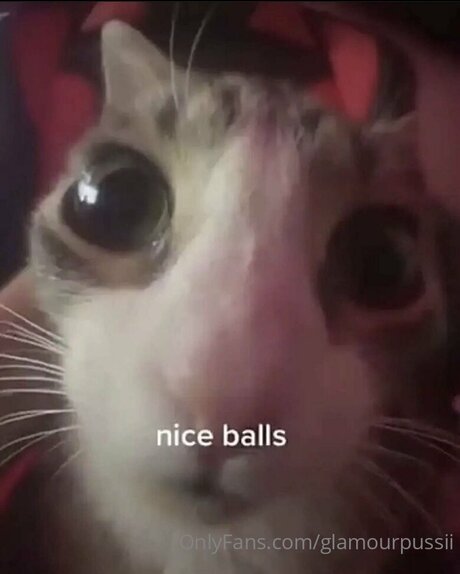Glamourpussii OnlyFans泄露裸照