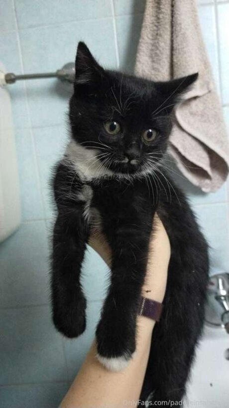 OnlyFans-model Padelleinsalamoia