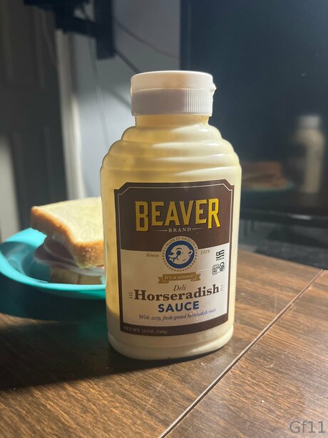 OnlyFans-model Mwebster6