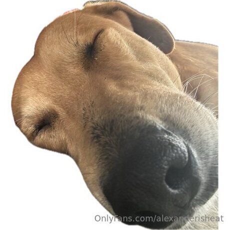 Alexanderisheat OnlyFans泄露裸照