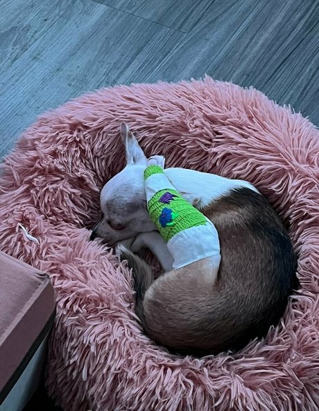 Massivelysweet OnlyFansリークヌード写真