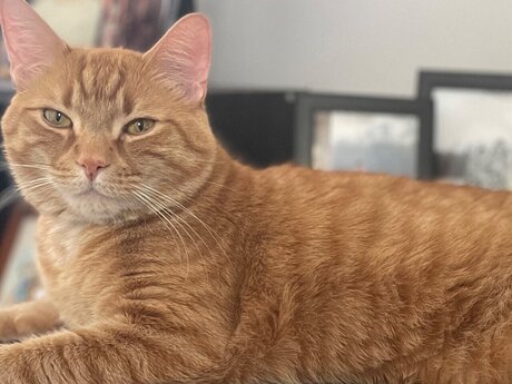 Обнаженная фотография утечки OnlyFans от Sway 