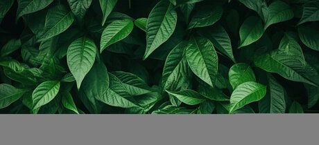 Обнаженная фотография утечки OnlyFans от Soul Dream