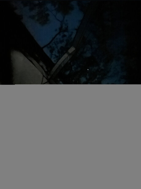 Nahá fotka uniklých OnlyFans od Ren Amplt3