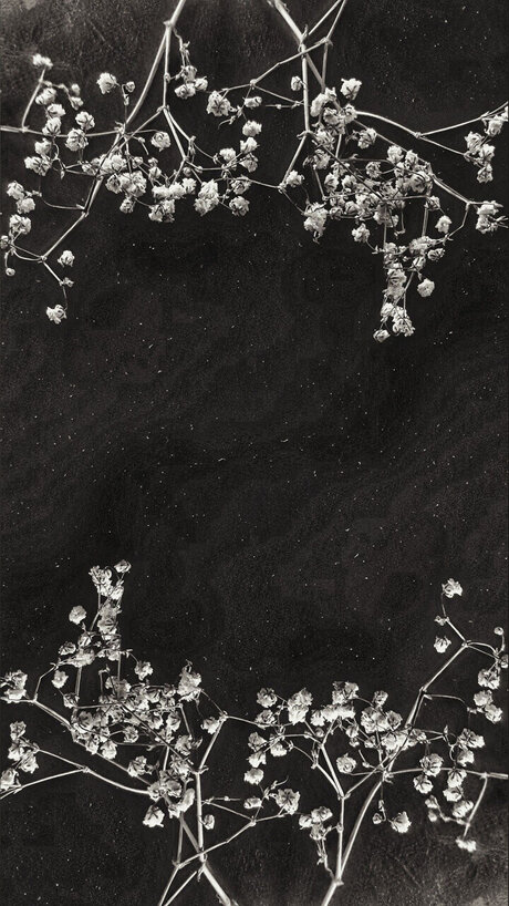 Cendre  OnlyFans泄露裸照