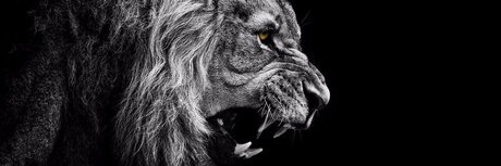 Nu Des Mondes naked leaks OnlyFans pic