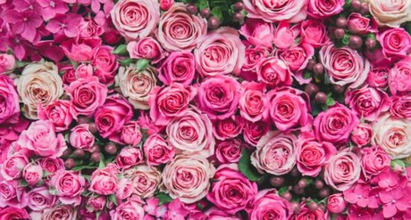 Photo nue de fuite OnlyFans de Jeunique Riedl