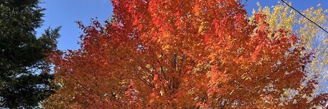 Alasti lekkinud OnlyFans-i pilt Southerncub