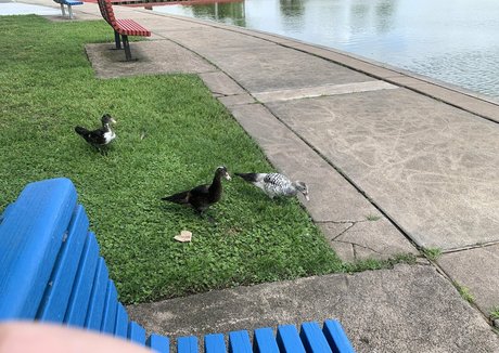 Bunnycocoa naked leaks OnlyFans pic