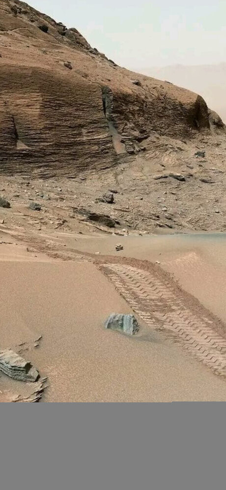 OnlyFans-model Thomas