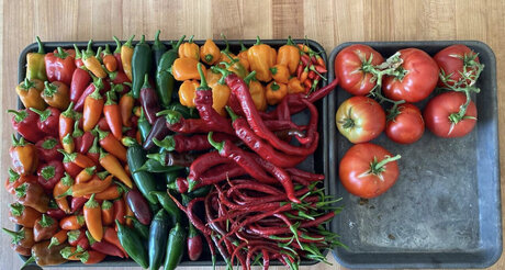 Gardenpapi OnlyFansリークヌード写真