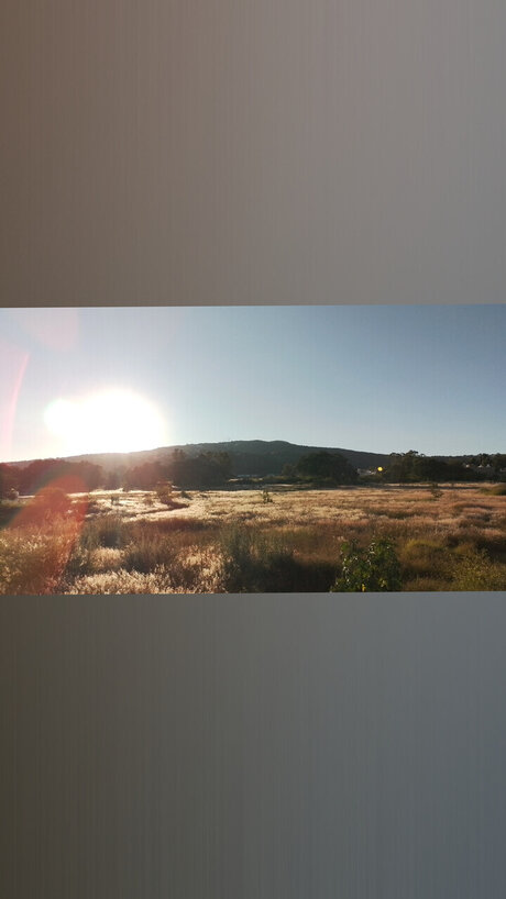 Naken lekkede OnlyFans-bilde av Jos Buenrostro