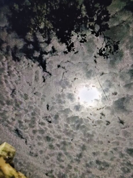 Photo nue de fuite OnlyFans de Hellie