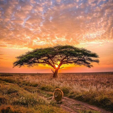 Photo nue de fuite OnlyFans de Kingrah22