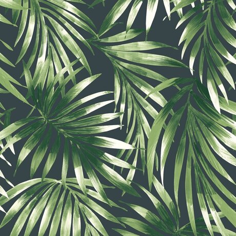 Foto di nudo di fuga di OnlyFans di  Foot Goddess 